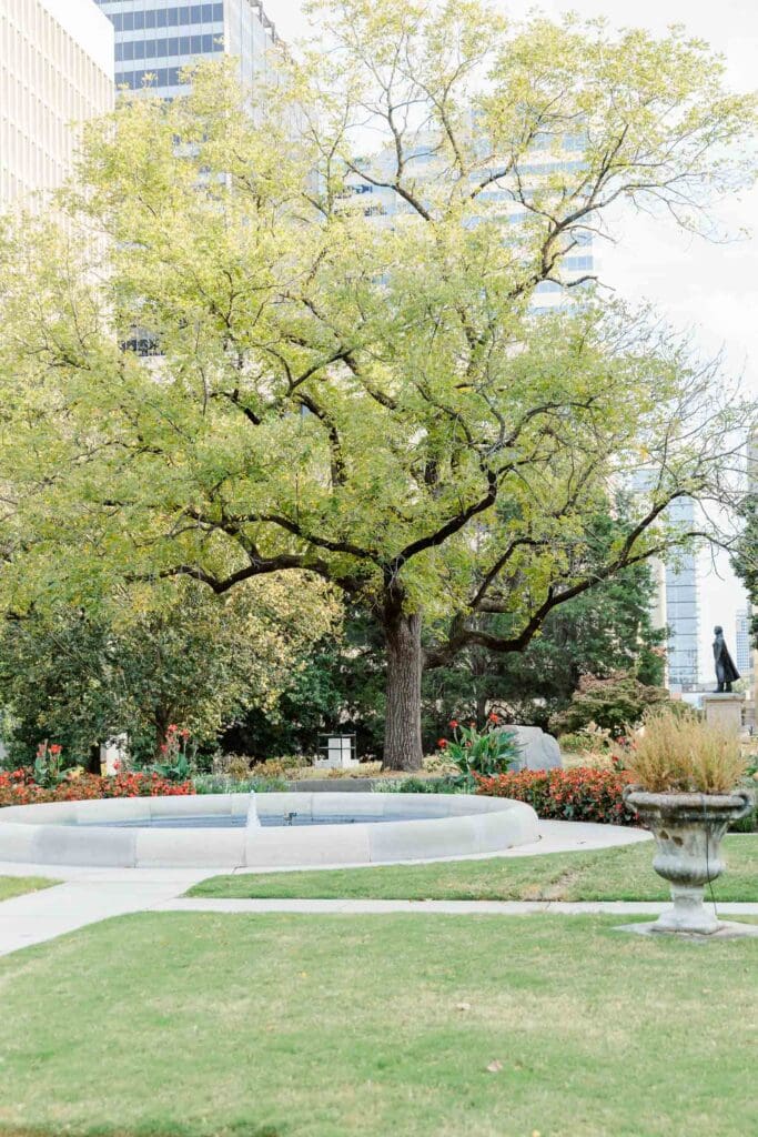 Large tree and landscaped park area in Downtown Nashville