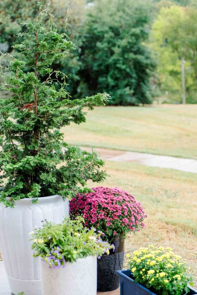 Wedding ceremony details at Paradise Ranch and Retreat near Nashville, Tennessee