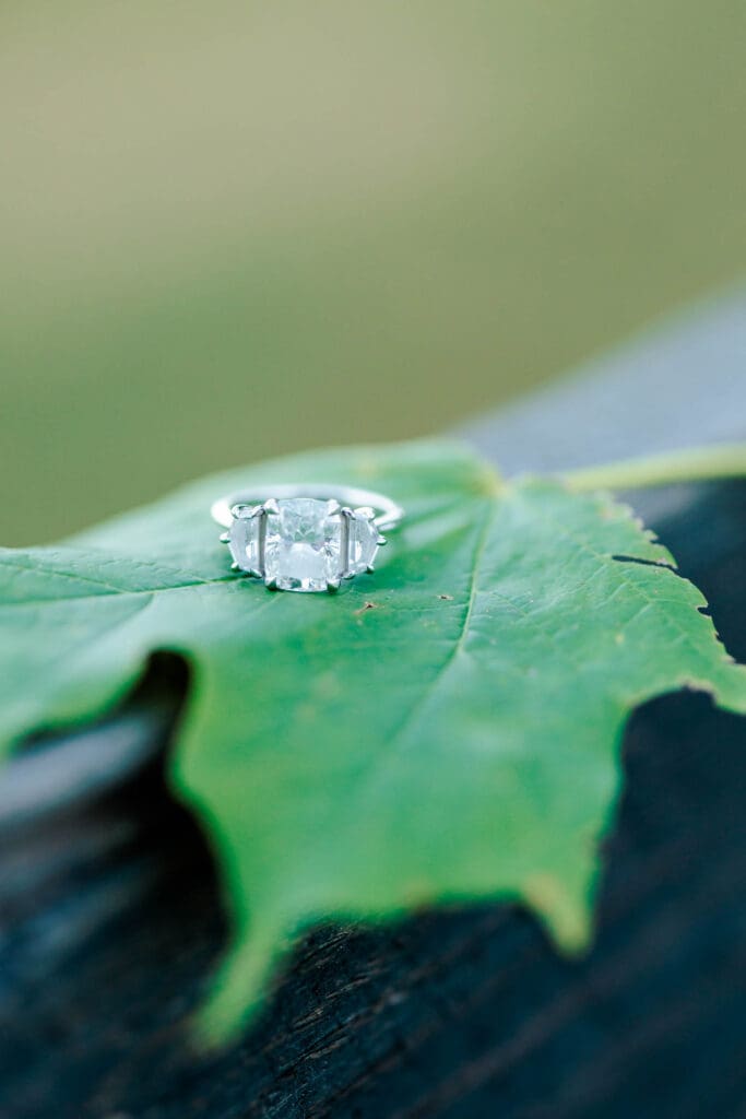 Engagement ring photo at Ravenswood Mansion